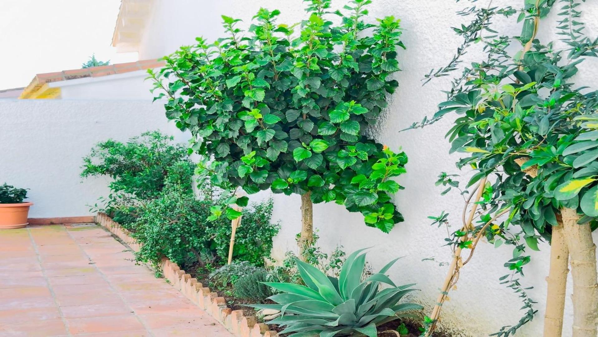 Vivienda Con Encanto Goya Nº4 Benalmádena Eksteriør billede